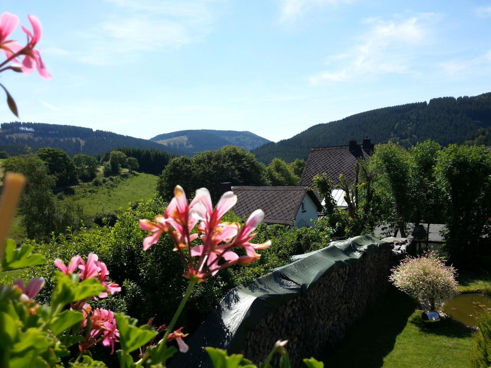Ferienwohnungen Luge - Винтерберг Номер фото