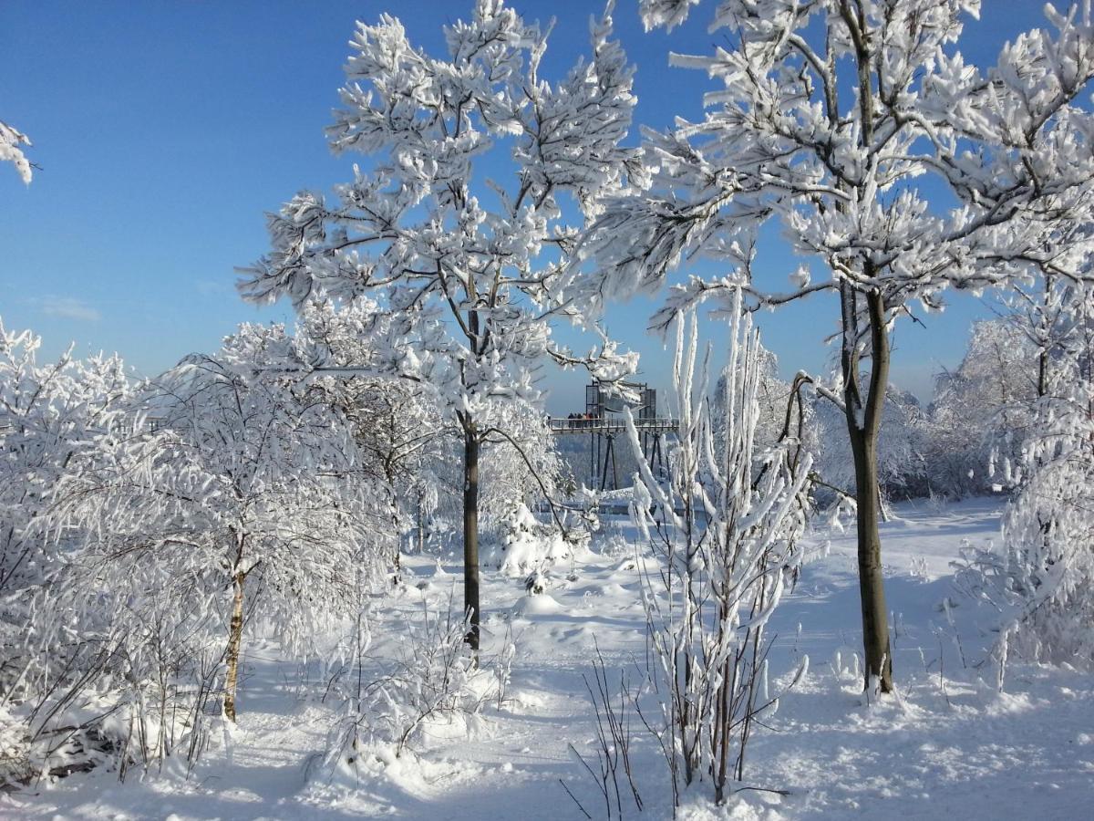 Ferienwohnungen Luge - Винтерберг Номер фото